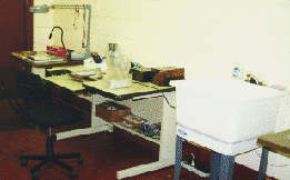 Lab 2000